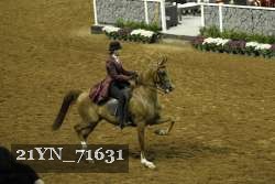 21YN_71631 proof