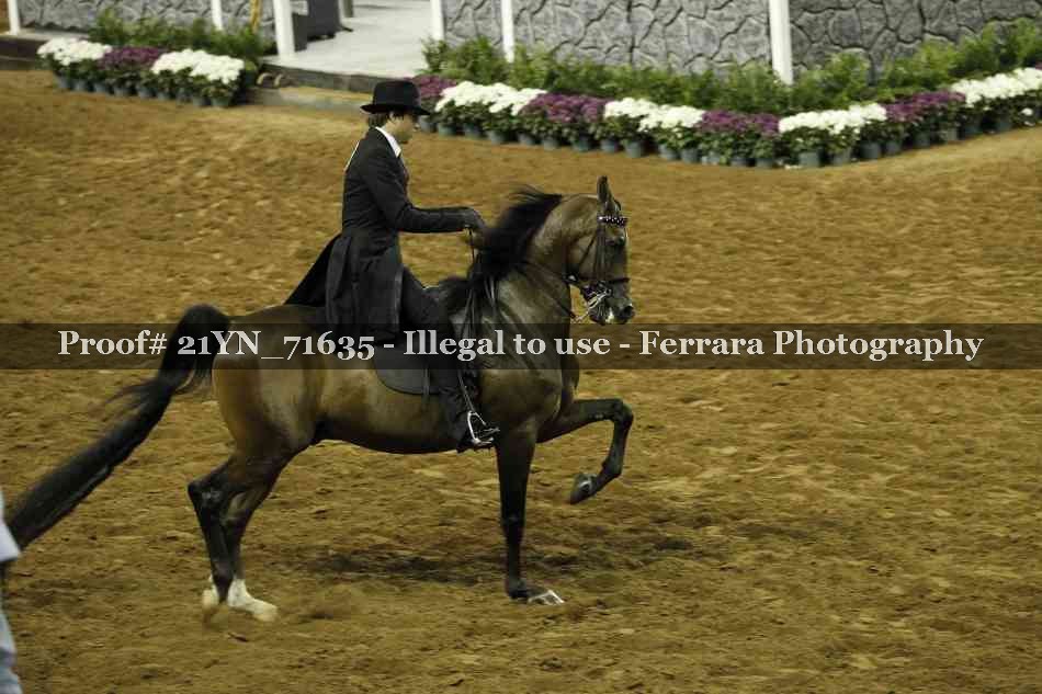 Proof 21YN_71635