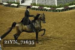 21YN_71635 proof