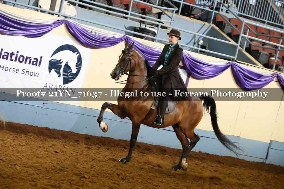 Proof 21YN_71637