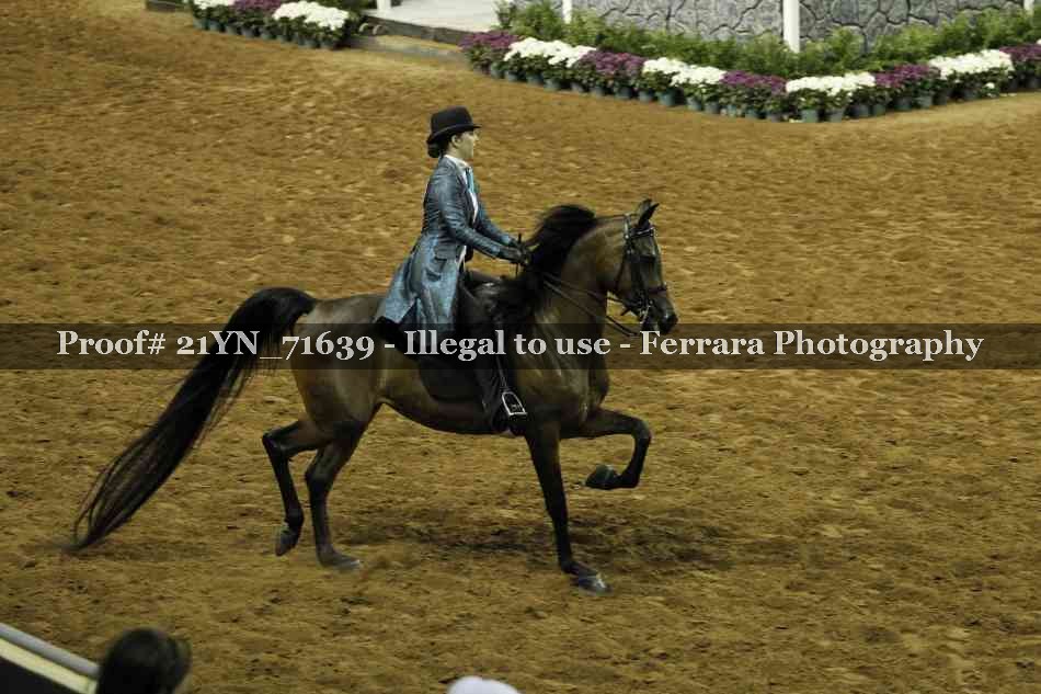 Proof 21YN_71639