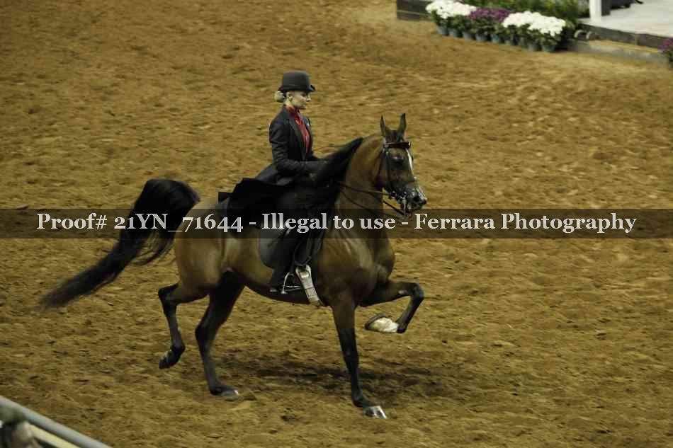 Proof 21YN_71644