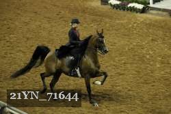 21YN_71644 proof