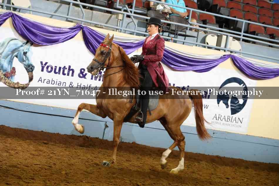 Proof 21YN_71647