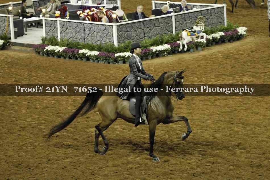 Proof 21YN_71652