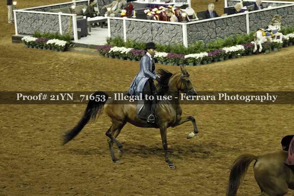 Proof 21YN_71653