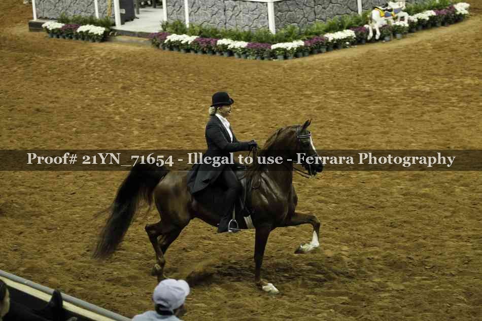 Proof 21YN_71654