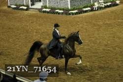 21YN_71654 proof