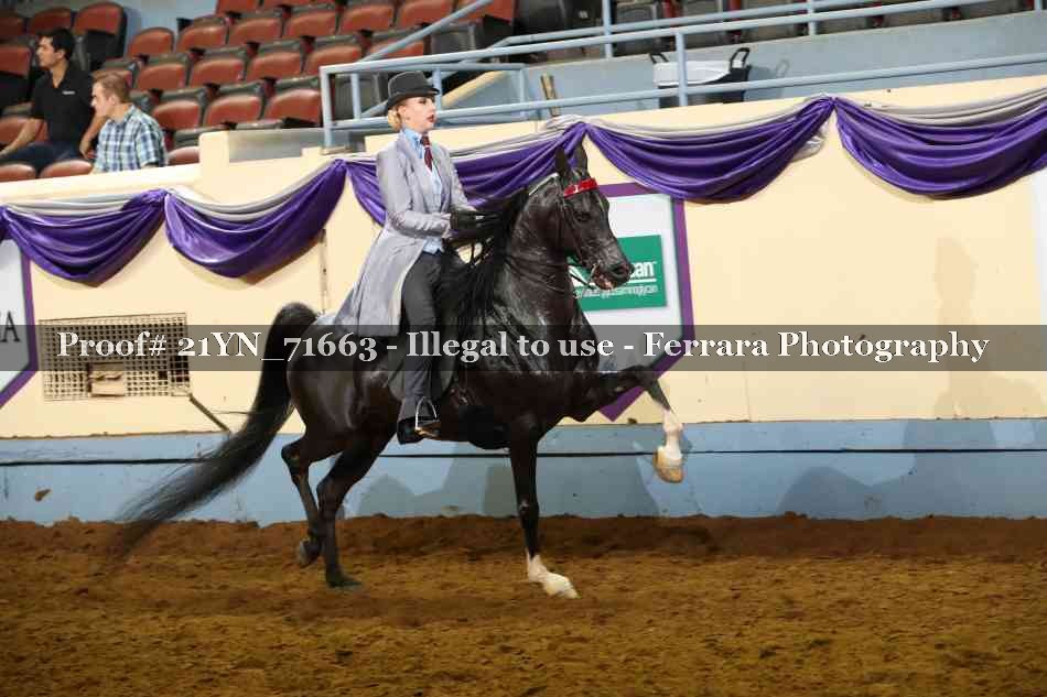 Proof 21YN_71663