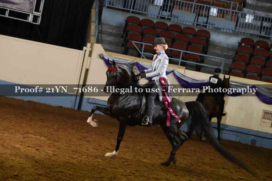 Proof 21YN_71686