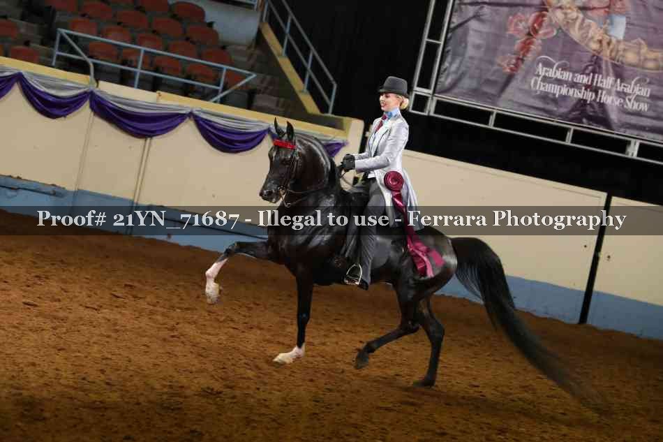Proof 21YN_71687