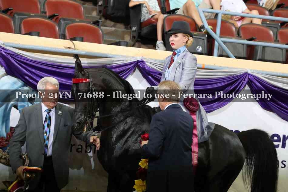 Proof 21YN_71688