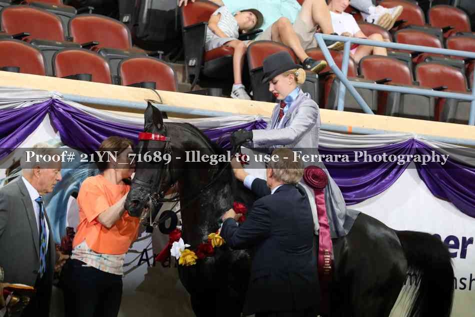 Proof 21YN_71689