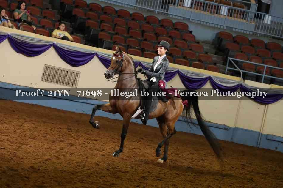 Proof 21YN_71698