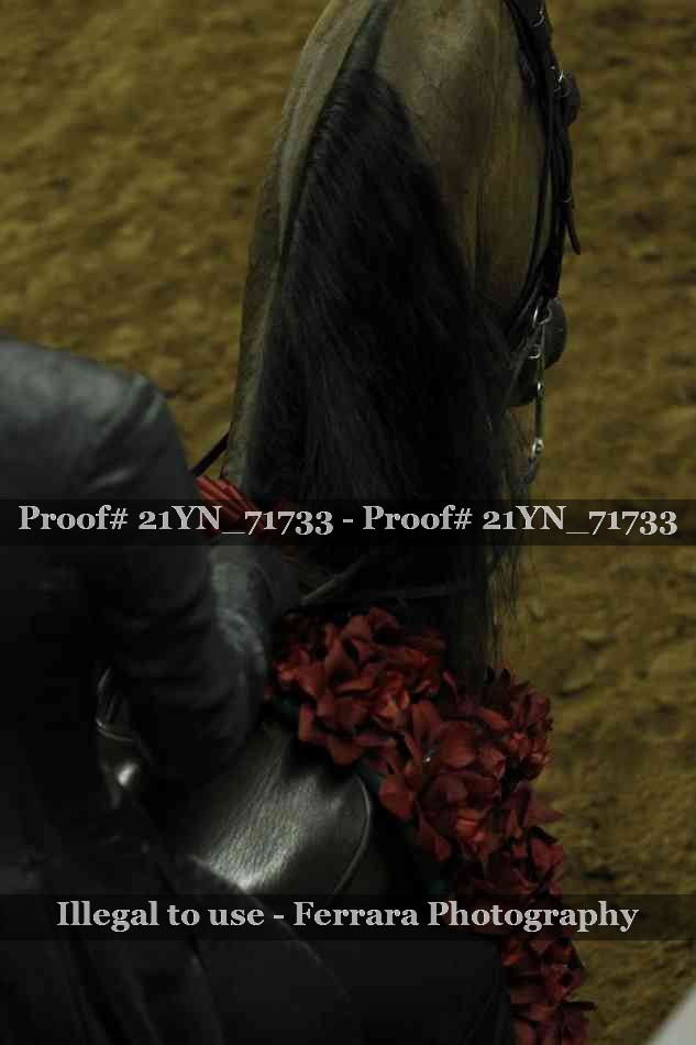 Proof 21YN_71733