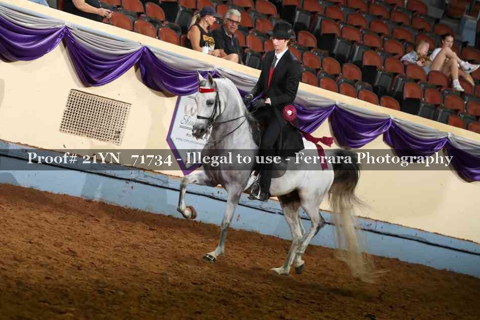 Proof 21YN_71734