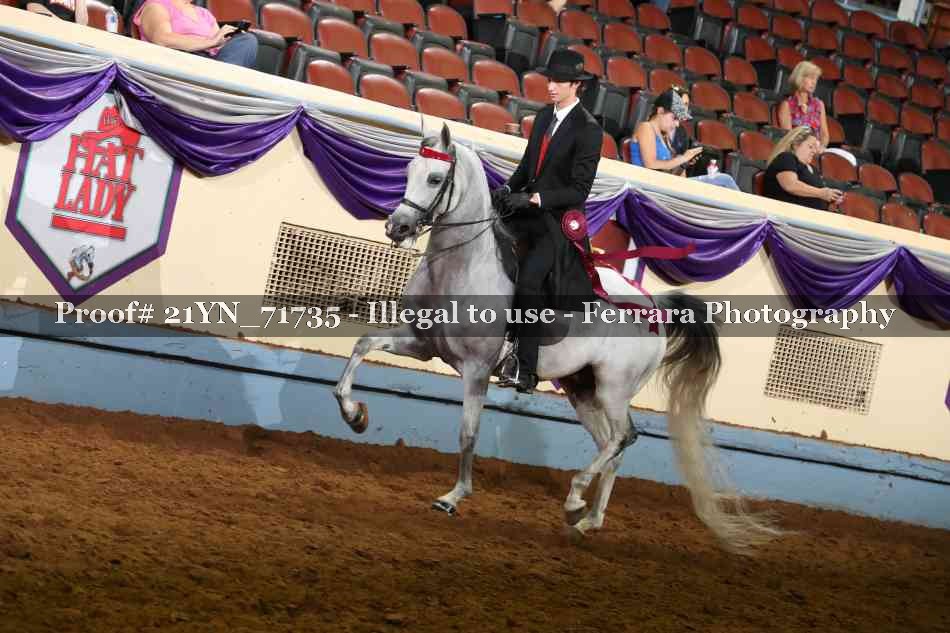 Proof 21YN_71735