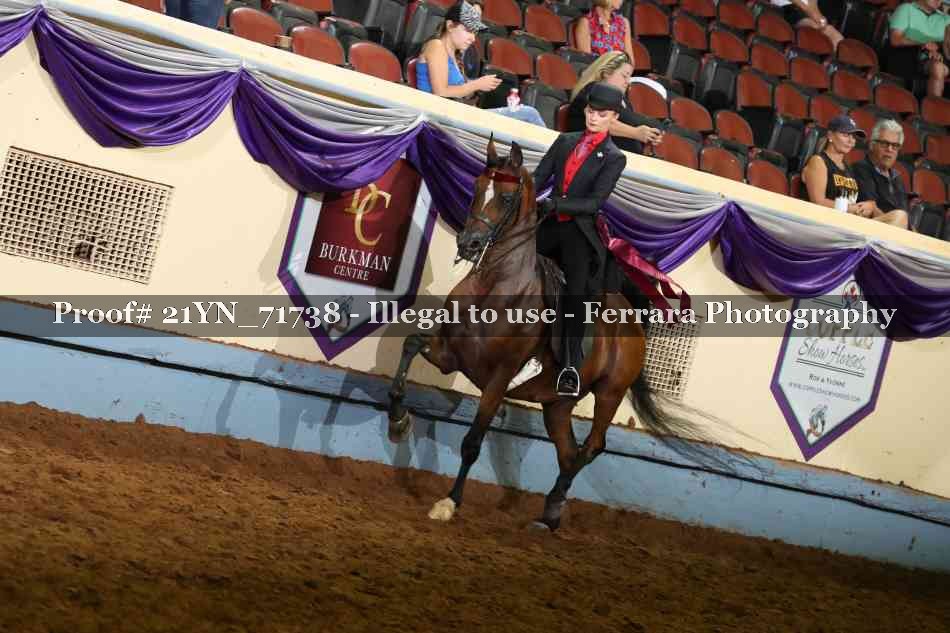 Proof 21YN_71738