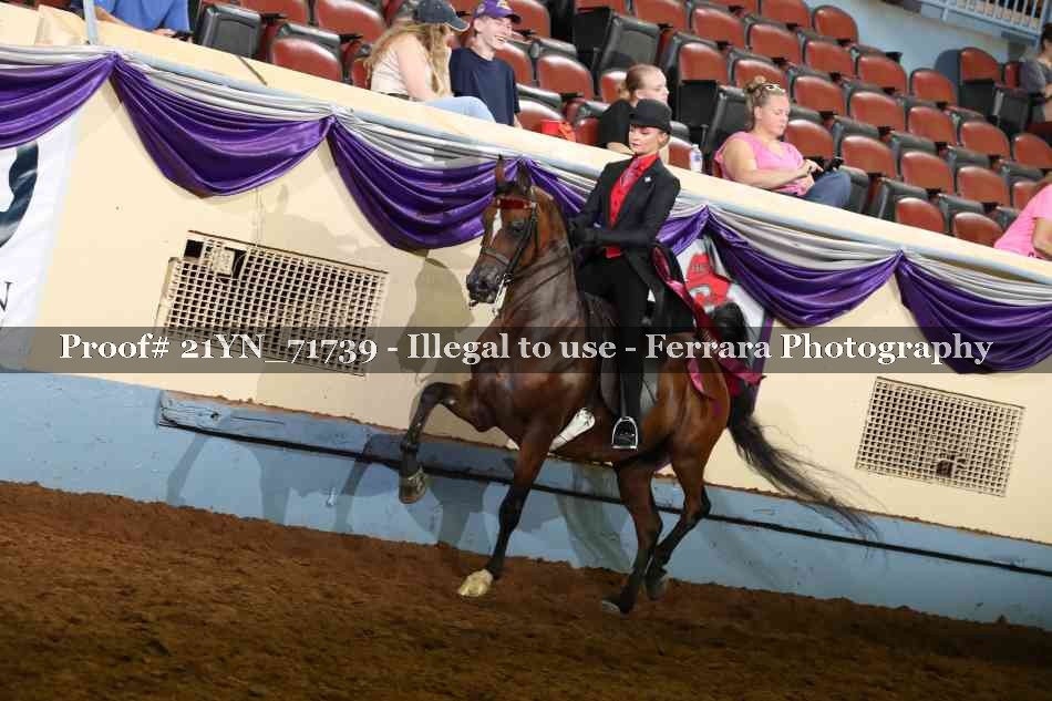 Proof 21YN_71739