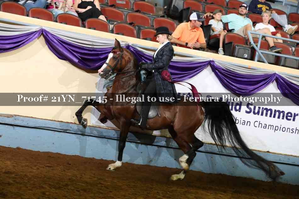 Proof 21YN_71745