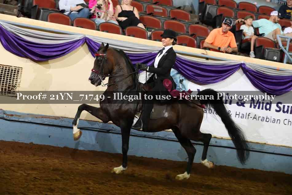 Proof 21YN_71749