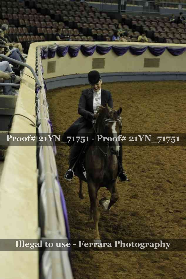 Proof 21YN_71751