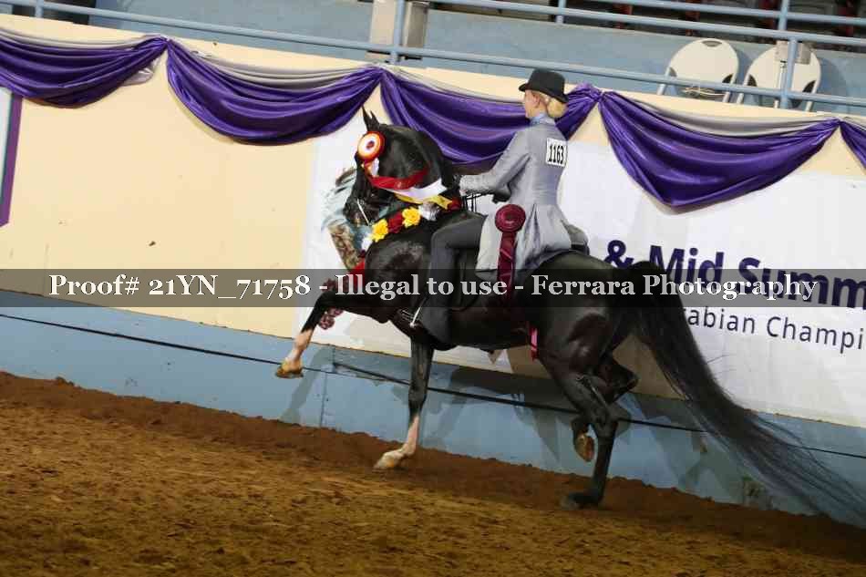 Proof 21YN_71758
