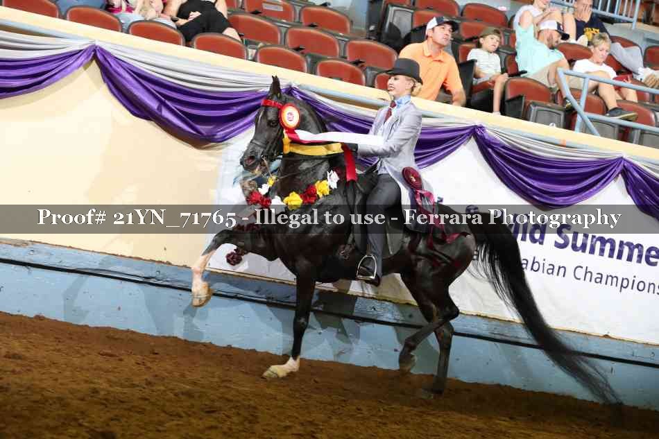 Proof 21YN_71765
