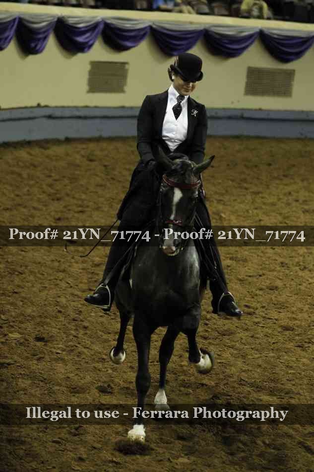 Proof 21YN_71774
