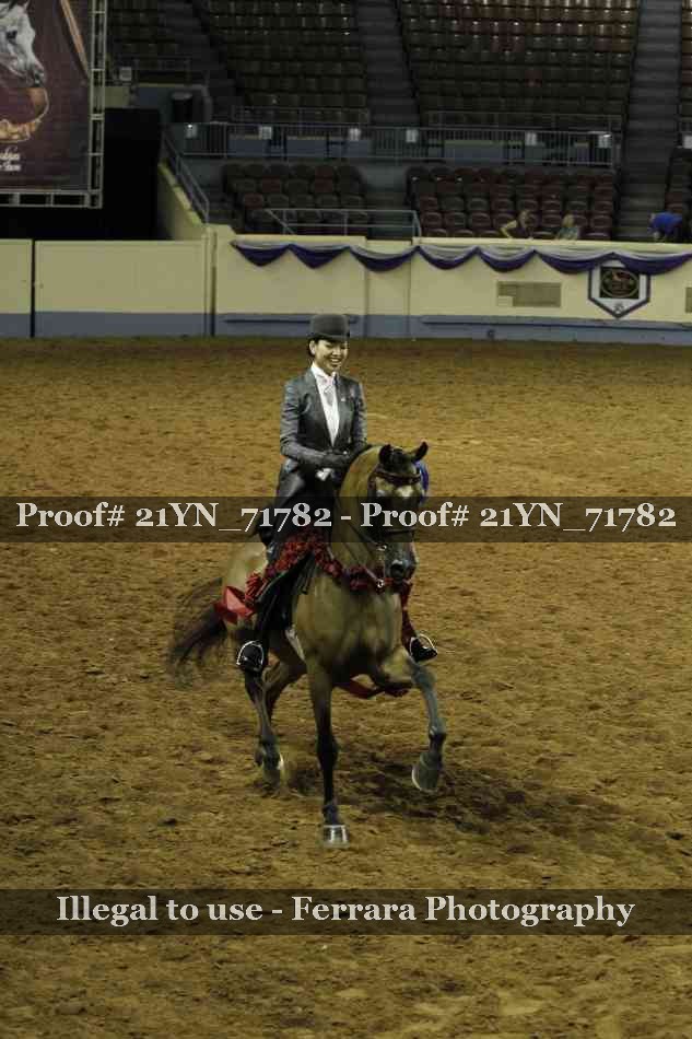 Proof 21YN_71782