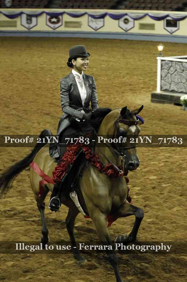 Proof 21YN_71783