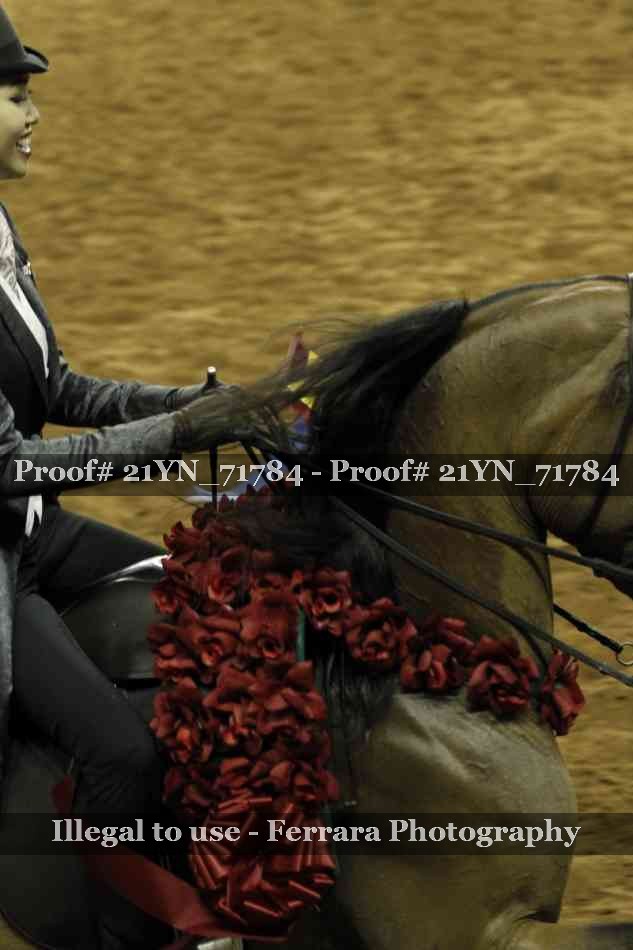 Proof 21YN_71784