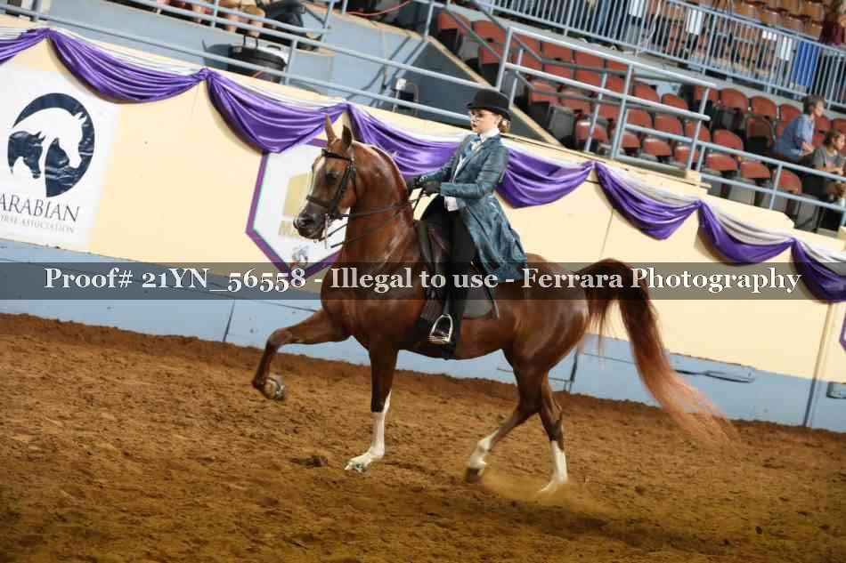 Proof 21YN_56558