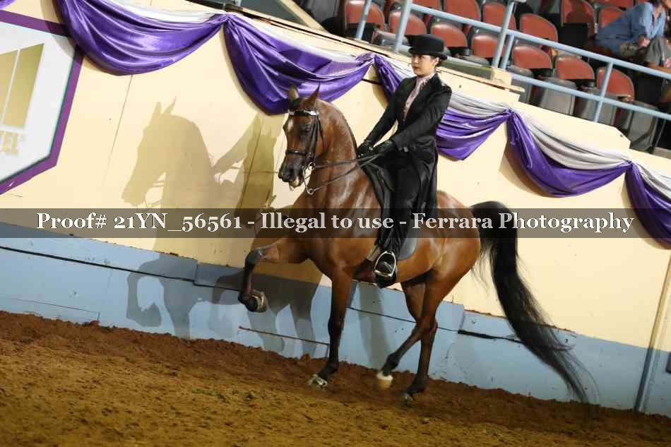 Proof 21YN_56561