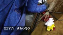 21YN_56630 proof