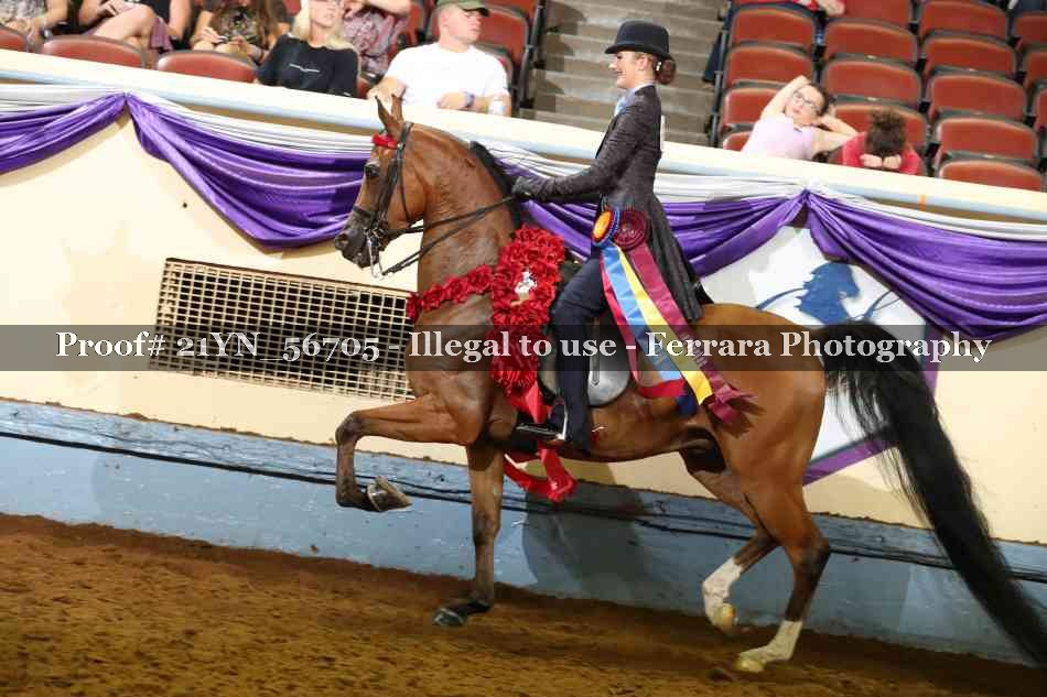 Proof 21YN_56705