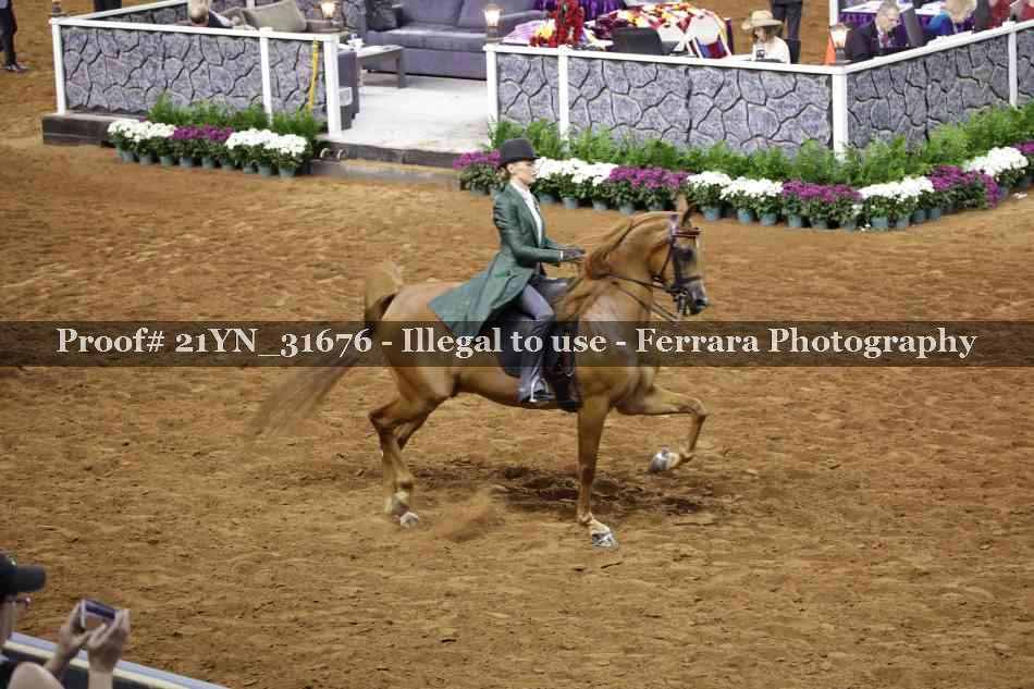 Proof 21YN_31676