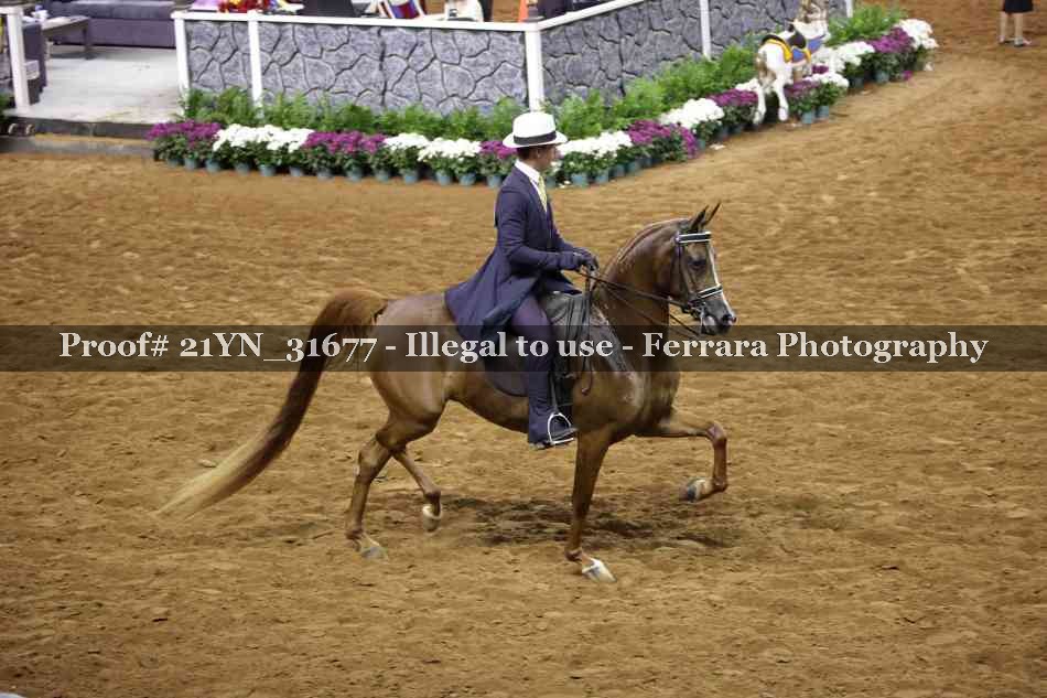 Proof 21YN_31677