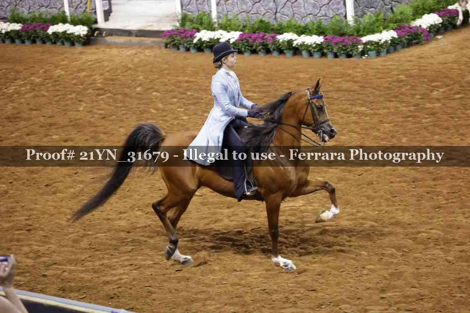 Proof 21YN_31679