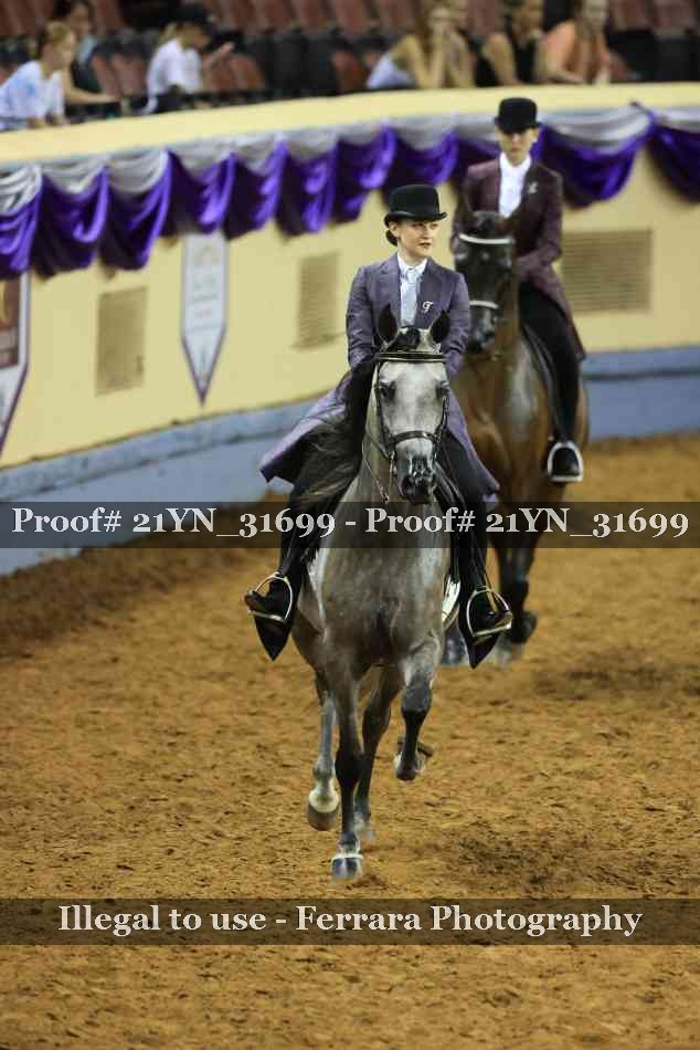 Proof 21YN_31699