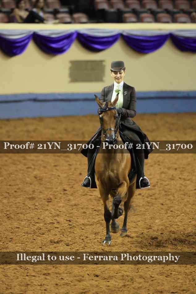 Proof 21YN_31700