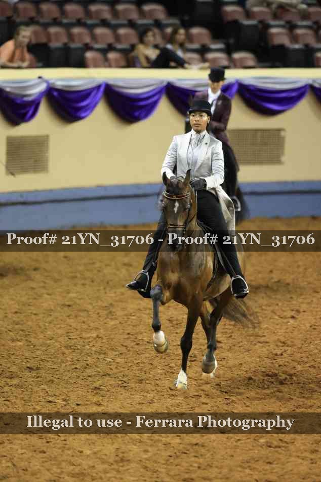 Proof 21YN_31706