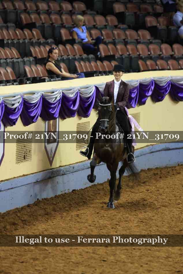 Proof 21YN_31709
