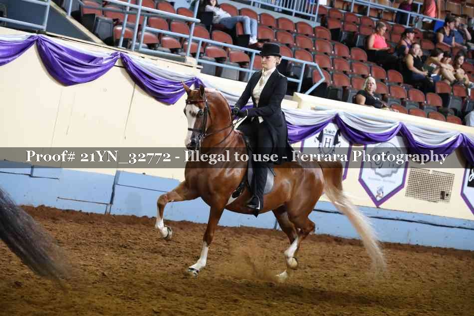 Proof 21YN_32772