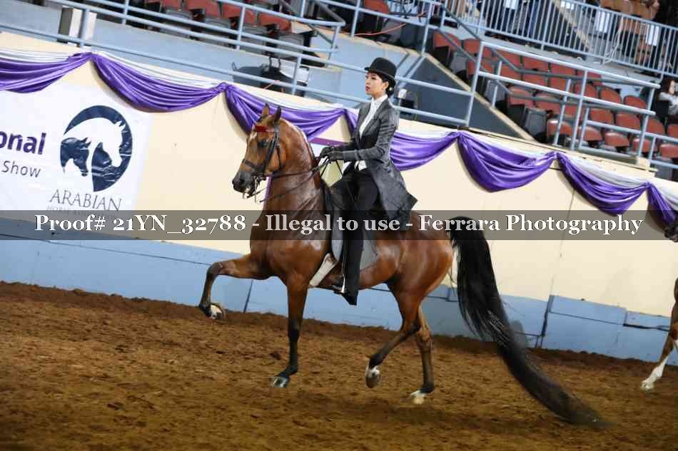 Proof 21YN_32788