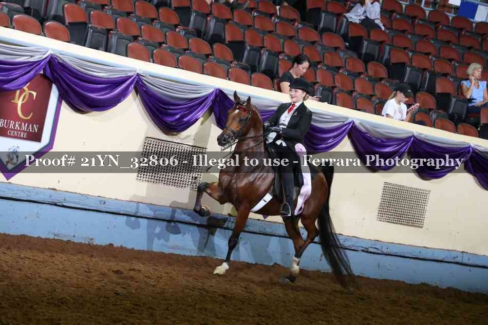 Proof 21YN_32806