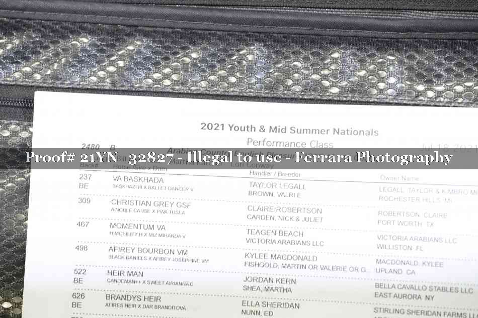 Proof 21YN_32827
