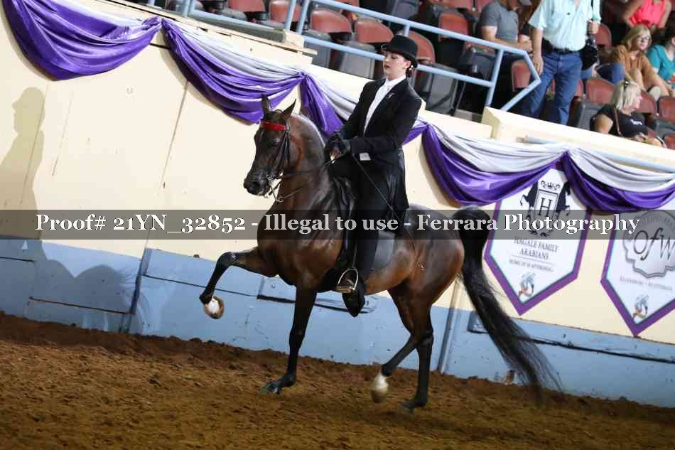 Proof 21YN_32852