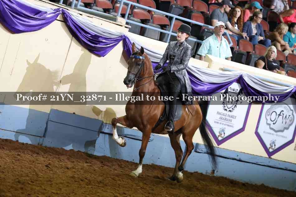 Proof 21YN_32871