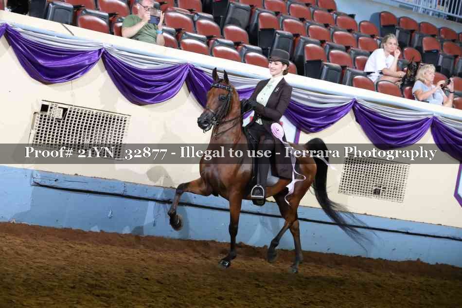 Proof 21YN_32877